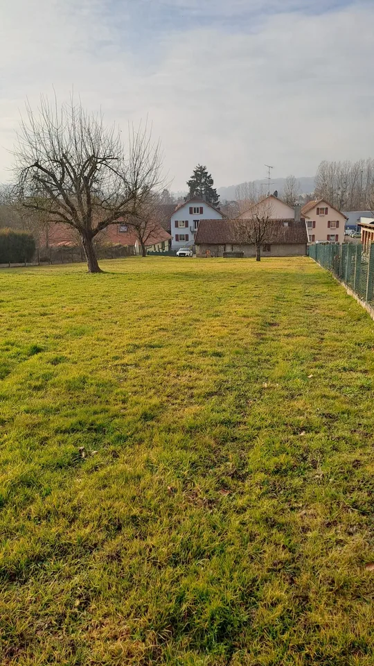 Maison à colombages traditionnelle avec 8 pièces à Illtal – Charme alsacien sur un grand terrain – photo 26 sur 27