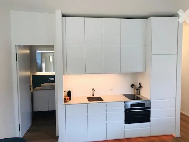 Élégant monolocale meublé avec jardin à Besazio