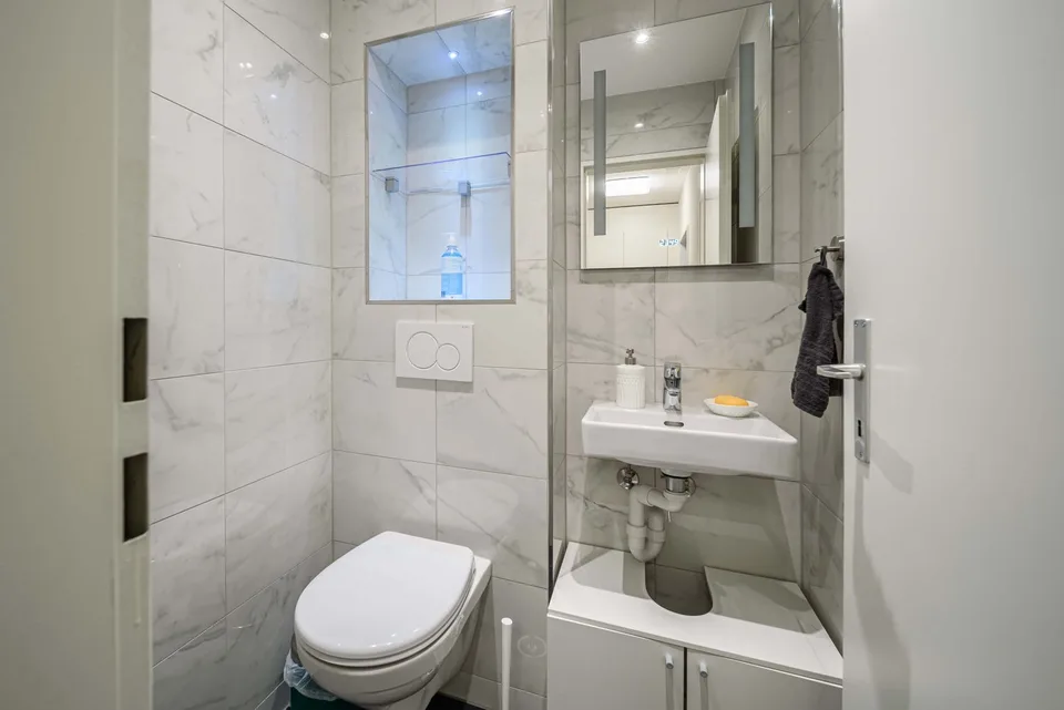 Neu renovierte große 3.5 Zimmerwohnung -Penthouse mit Anbindung an privatem großen Park