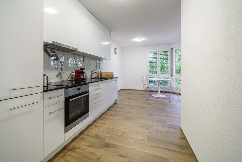 Neu renovierte große 3.5 Zimmerwohnung -Penthouse mit Anbindung an privatem großen Park