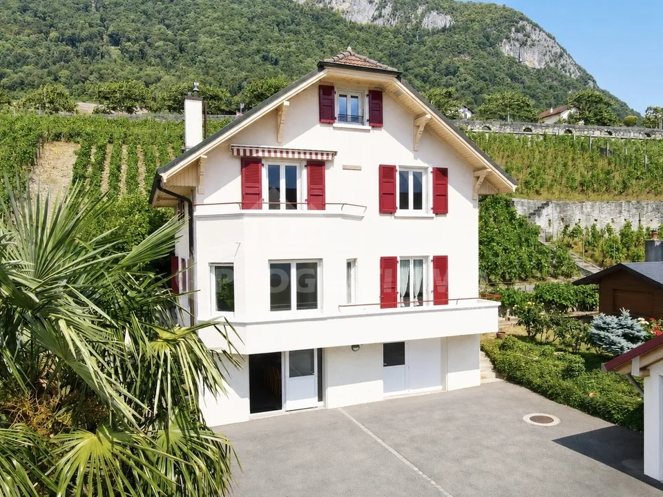 MAISON À DEUX LOGEMENTS OFFRANT DE MULTIPLES POSSIBLITÉS