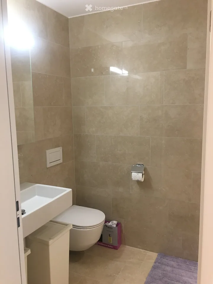 Exklusive 3.5 Zimmer Wohnung im grünen Uster!