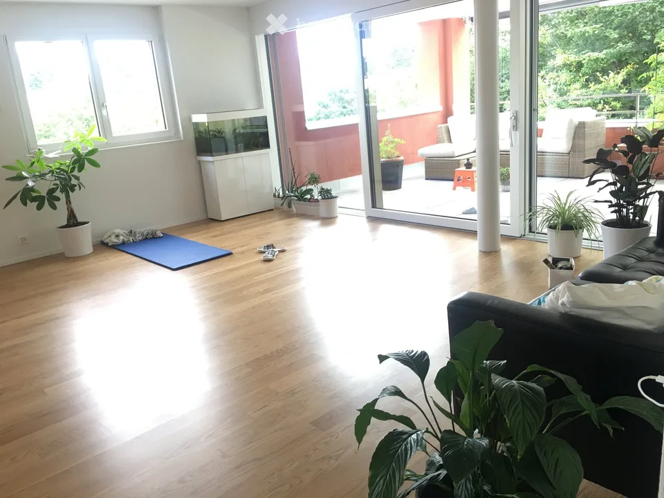 Exklusive 3.5 Zimmer Wohnung im grünen Uster!