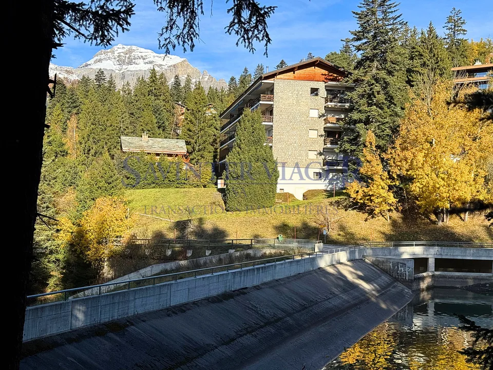 Magnifique vue. Crans-Montana. Viager Occupé.
