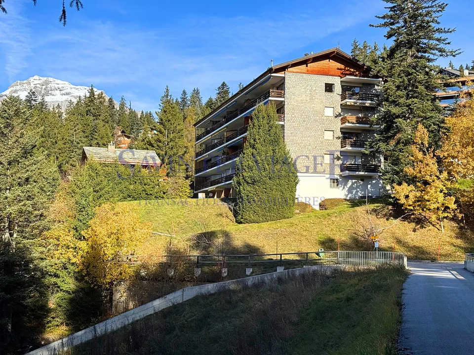 Magnifique vue. Crans-Montana. Viager Occupé.