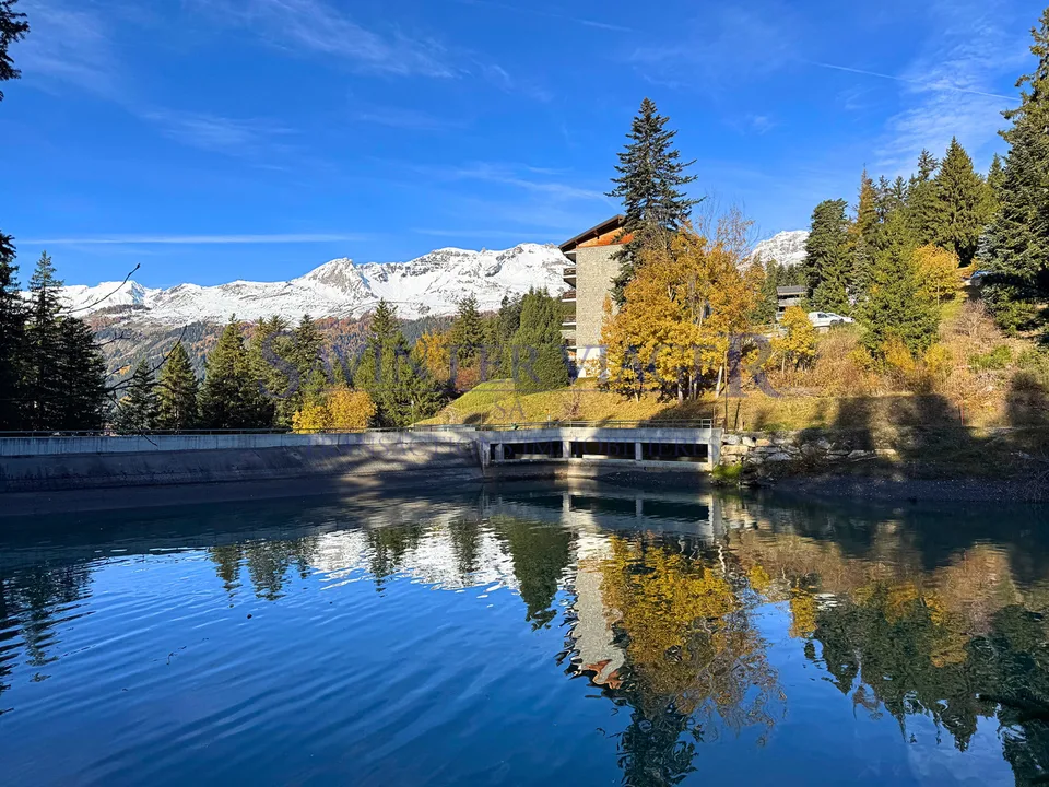 Magnifique vue. Crans-Montana. Viager Occupé.