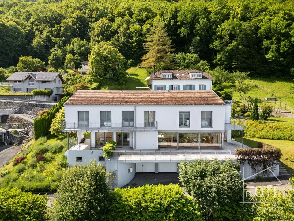 Villa d'architecte avec vue imprenable le Lac Léman