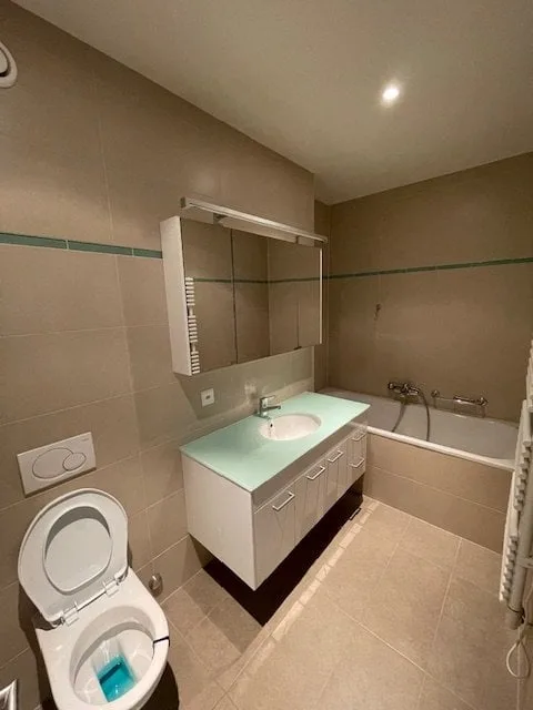 Carouge ZU VERKAUFEN wunderschönes Apartment 4 Zimmer + Box eine Platz