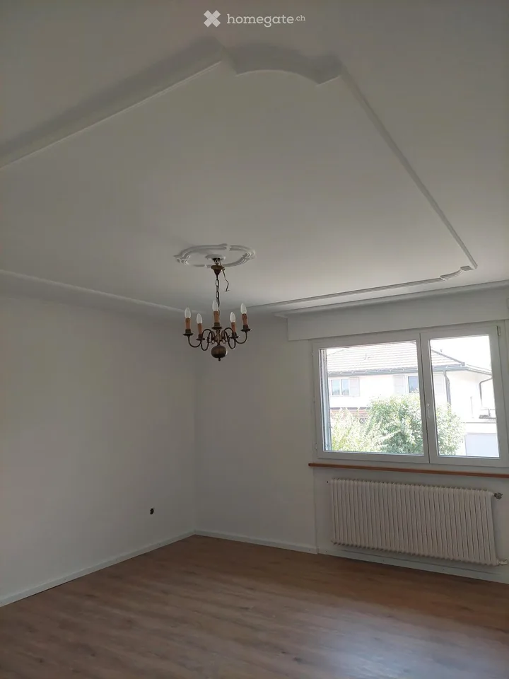 7 1/2 Zimmer Einfamilienhaus mit Gewerberaum
