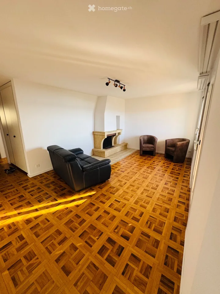 Appartamento 3p1/2 con vista imprenabile sul lago di Morat e le Alpi