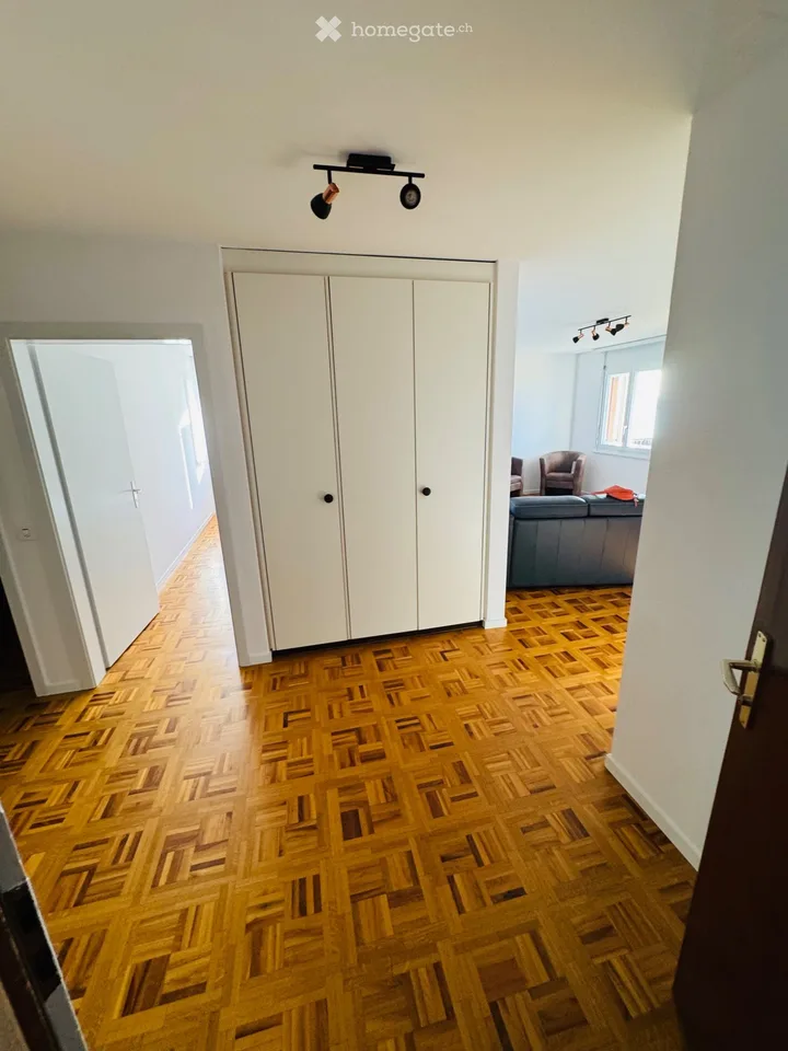 Appartamento 3p1/2 con vista imprenabile sul lago di Morat e le Alpi