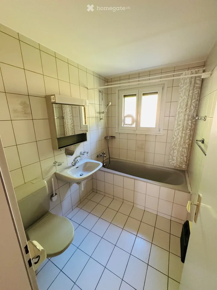 Appartamento 3p1/2 con vista imprenabile sul lago di Morat e le Alpi