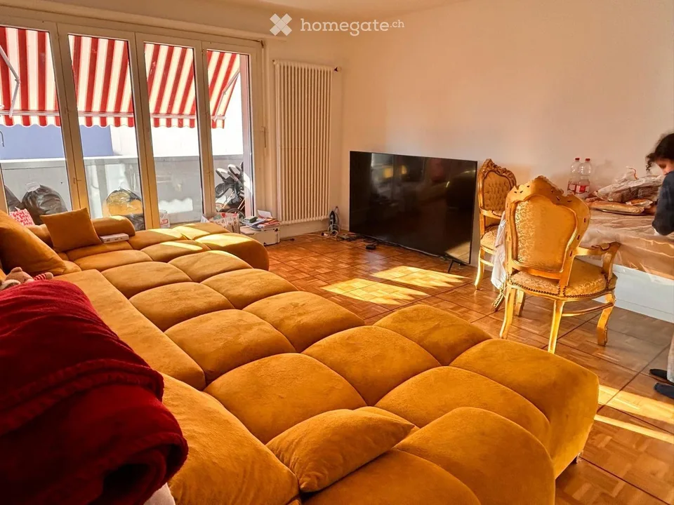 Grande appartamento spazioso con 3 camere