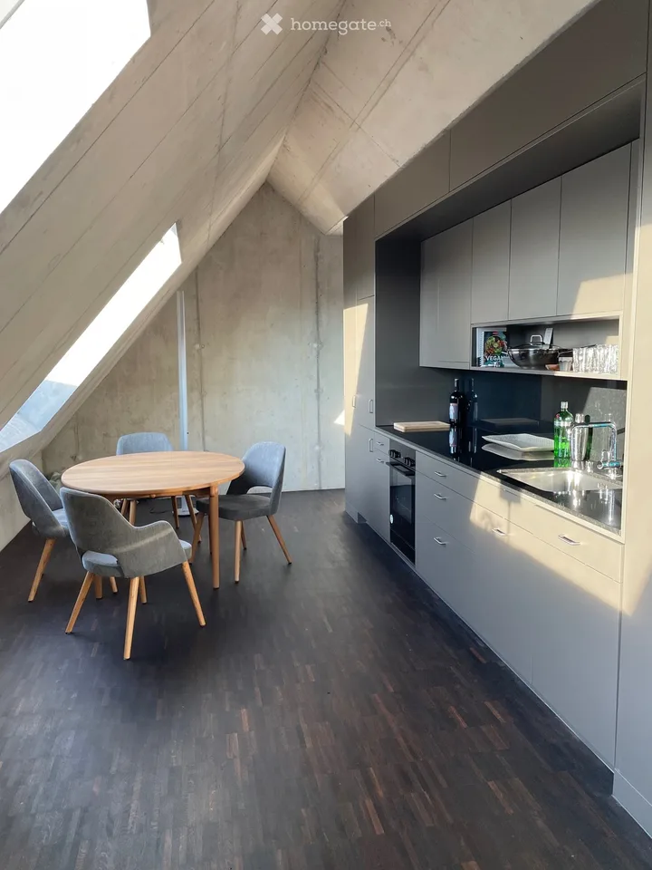 2.5 Zi-Loftwohnung zur Untermiete 3 - 6 Monate / loft flat to sublet for 3 - 6 month