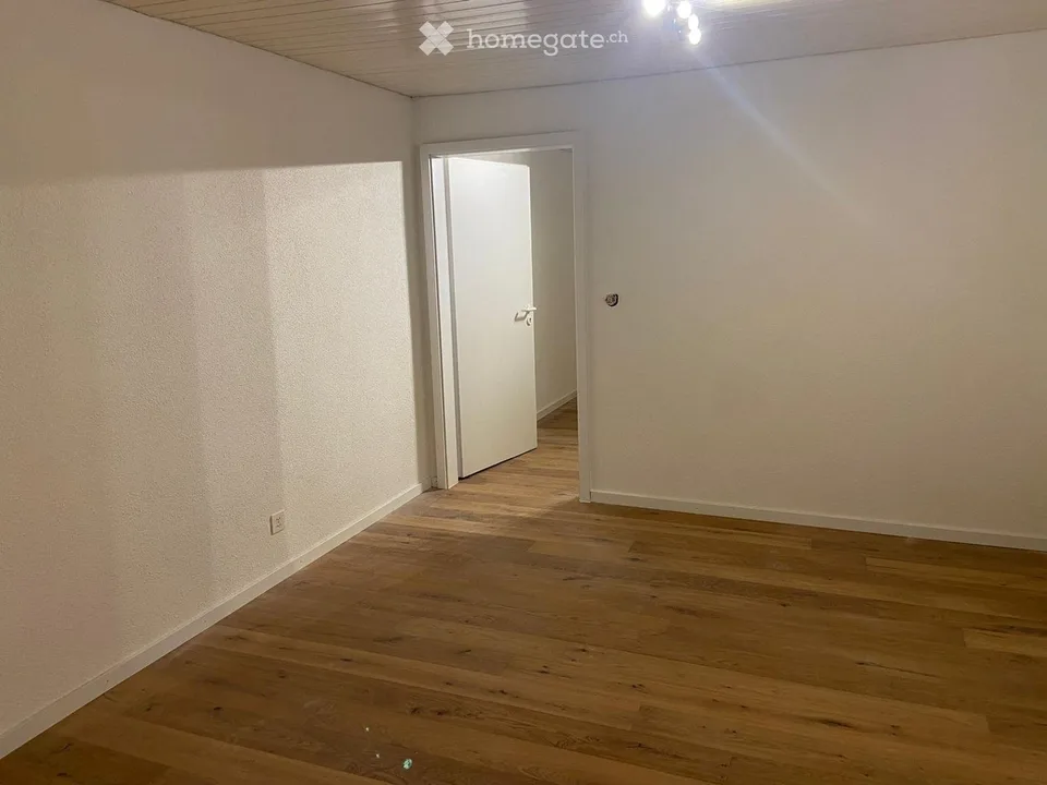 Freshly renovated 2-room ground floor apartment with garden