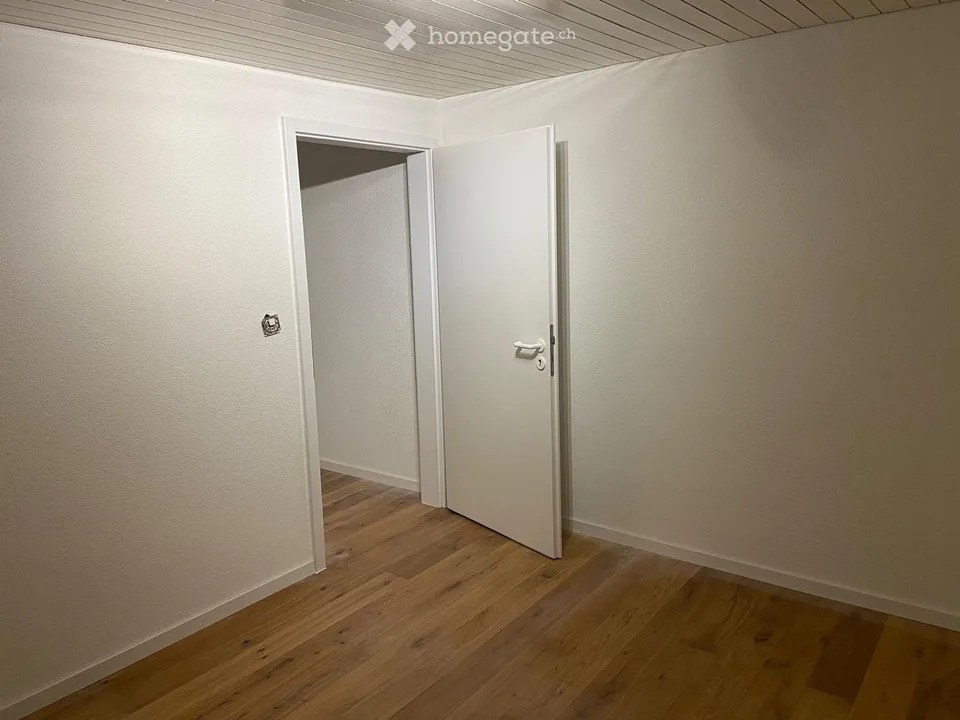 Freshly renovated 2-room ground floor apartment with garden