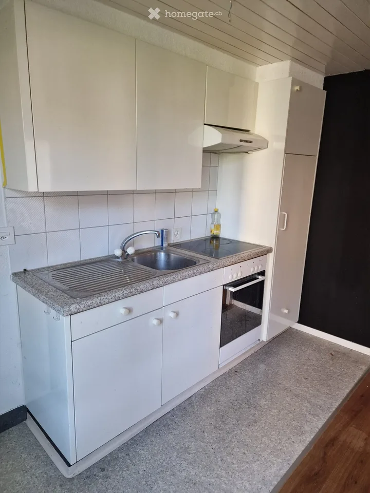 Freshly renovated 2-room ground floor apartment with garden