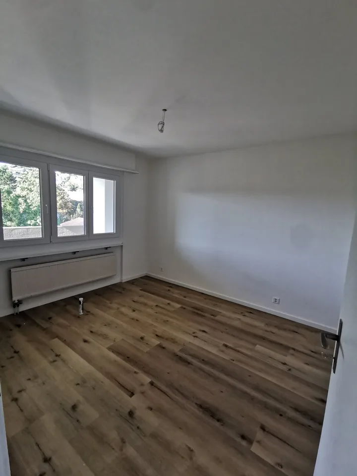 Appartamento di 2,5 locali ristrutturato in affitto in zona verde!