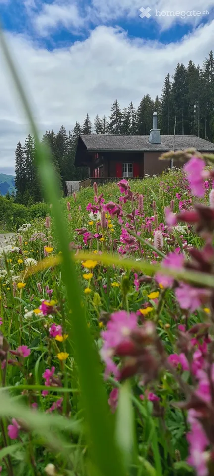 Hébergement (saisonnier) dans le col de Jaun