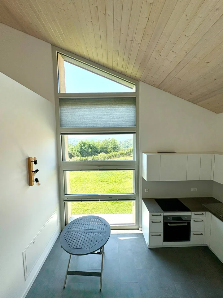 Wohnung - Monteggio