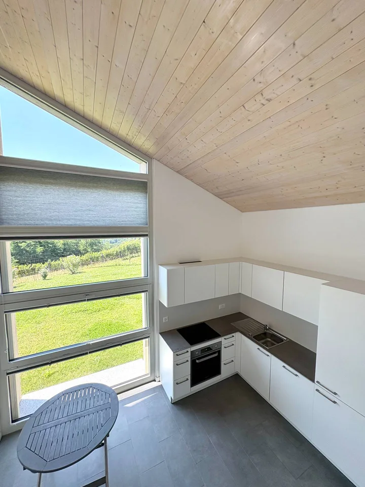 Wohnung - Monteggio