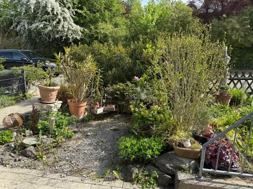5.0 Zimmer-Reiheneinfamilienhaus, Oberohringen (Seuzach) – Foto 9 von 15