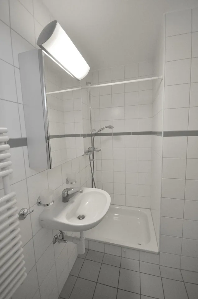 Wohnung mit 4.5 Zimmern im Dachgeschoss