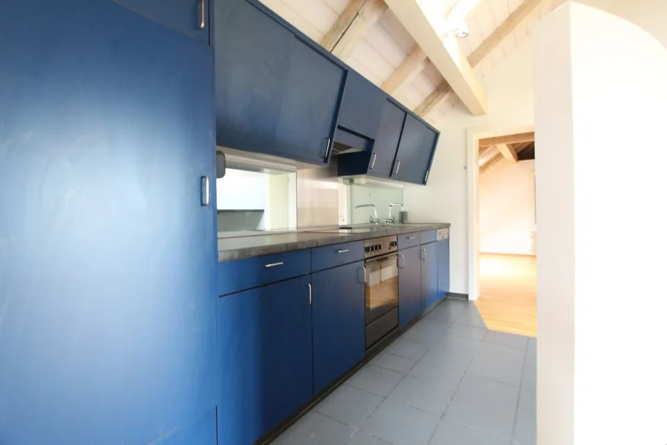 Spacious attic apartment with a view of the green