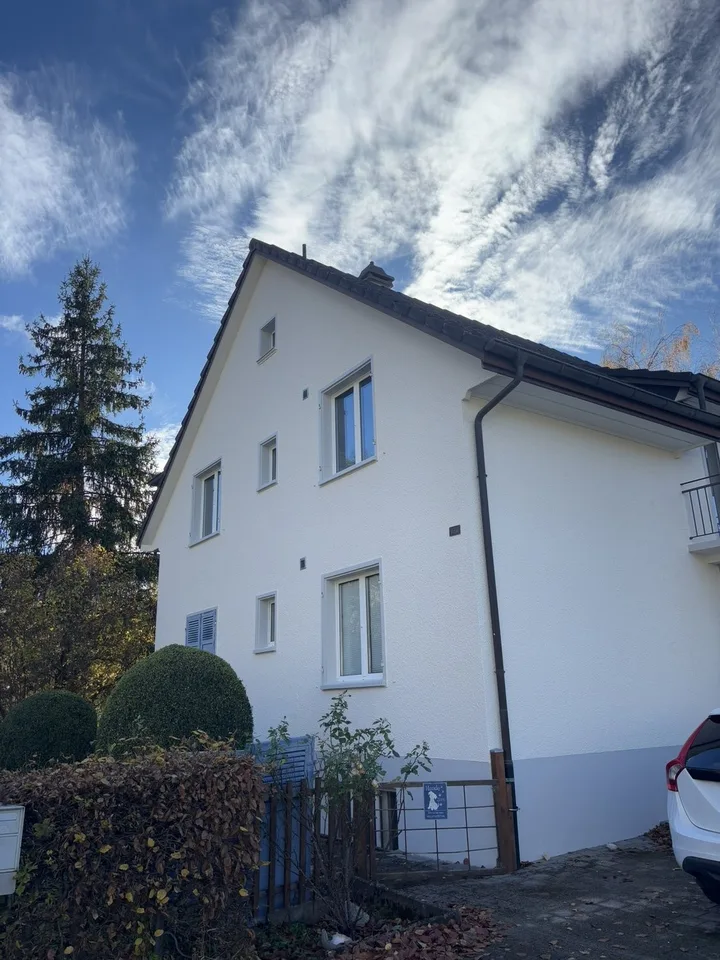 3.5-Zimmerwohnung in Niederdorf zu vermieten