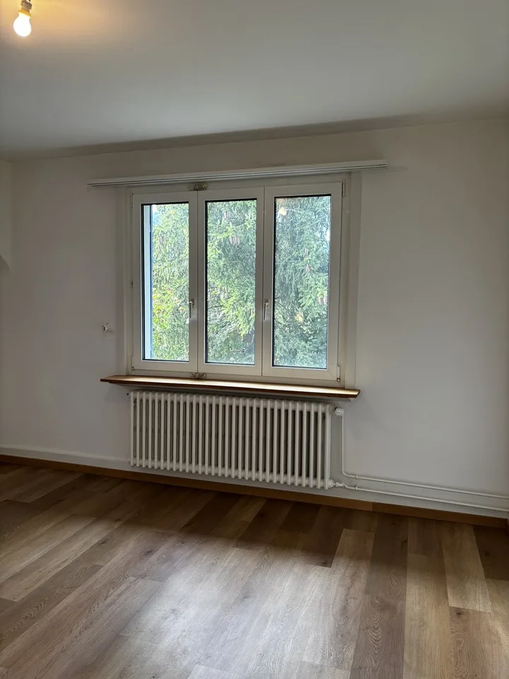 3.5-Zimmerwohnung in Niederdorf zu vermieten