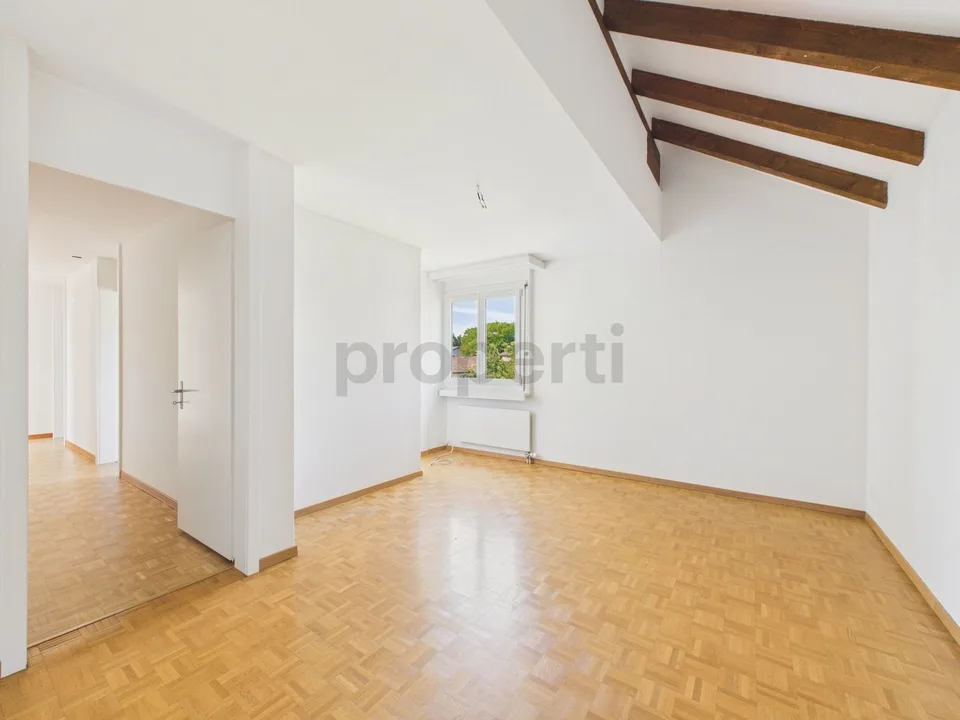 Ampio appartamento di 5.5 locali con tre terrazze a Seebach
