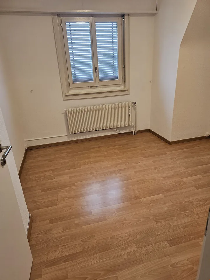 3 1/2 Zimmerwohnung im Zentrum