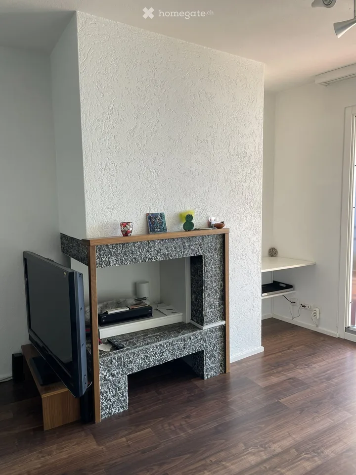 Appartamento vacanze 3.5 locali con vista panoramica spettacolare sul Lago Maggiore – foto 6 di 25