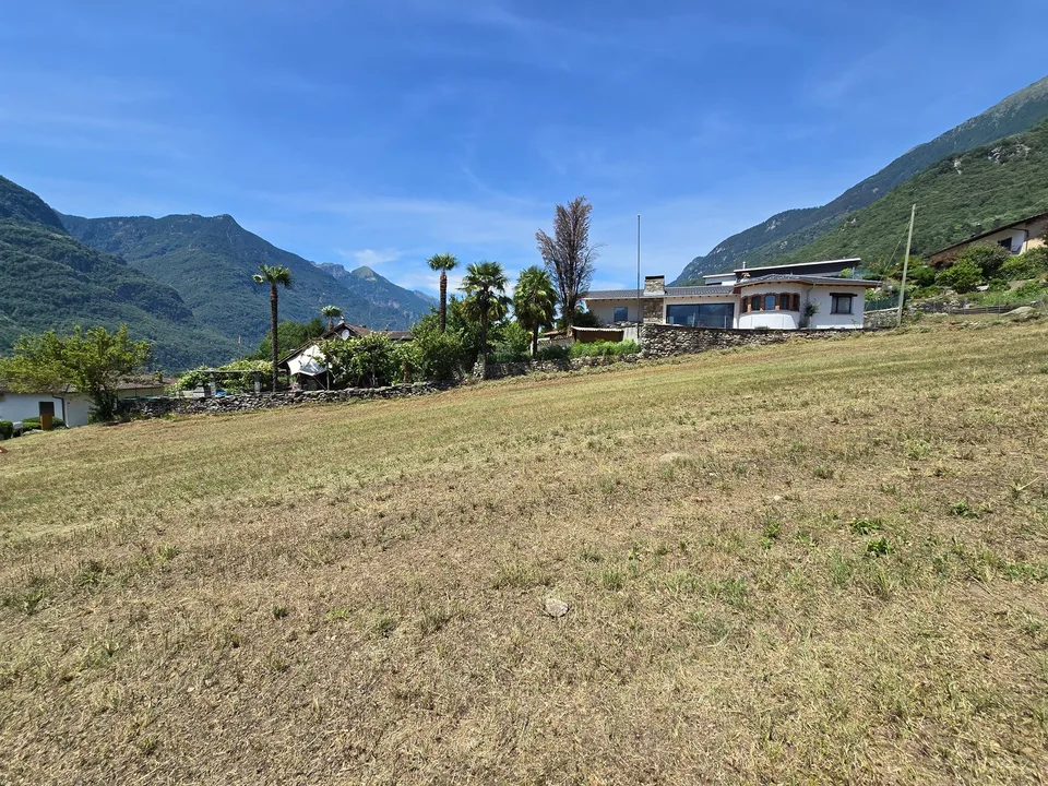 Terreno edificabile di 1559 m2  pianeggiante, soleggiato e tranquillo
