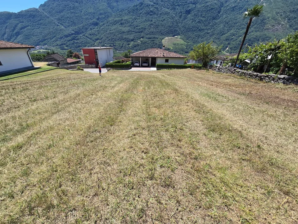 Terreno edificabile di 1559 m2  pianeggiante, soleggiato e tranquillo