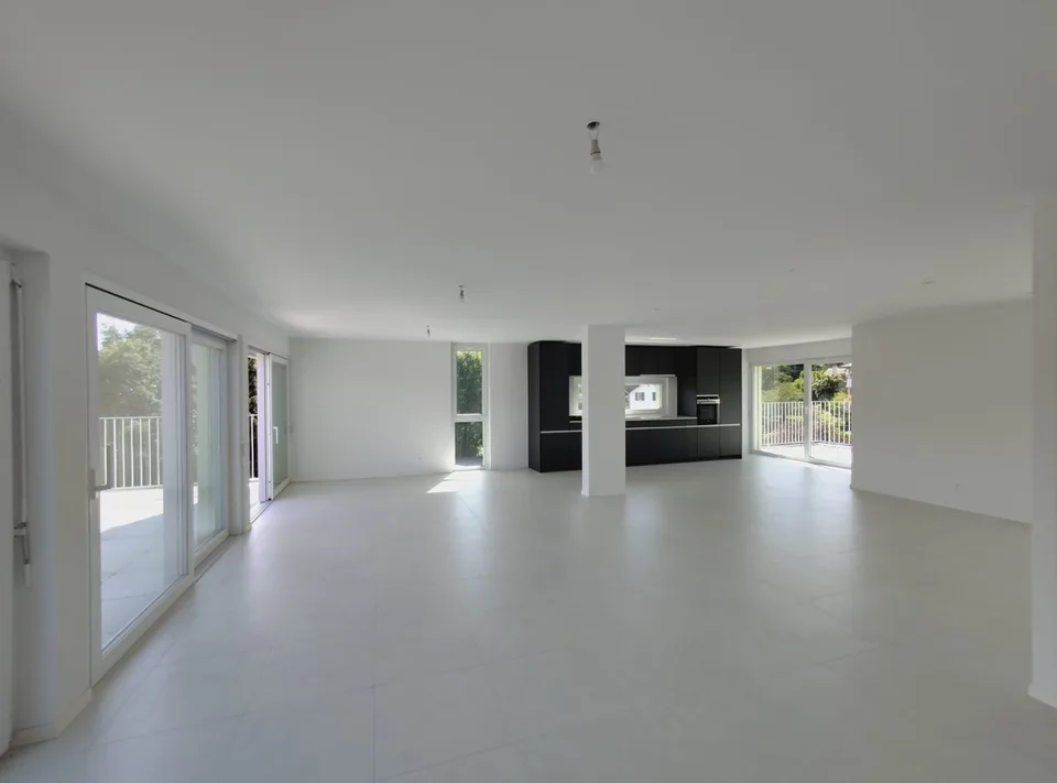 Magnificent 6.5-room attic apartment with terrace and panoramic view with private elevator
