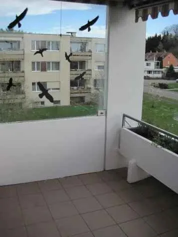 Appartamento luminoso 3.5 locali con balcone e bella vista a Seuzach