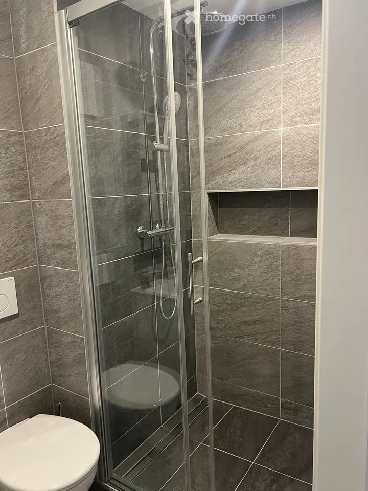 Studio 34m² pour une personne/für eine Person (Corminboeuf)