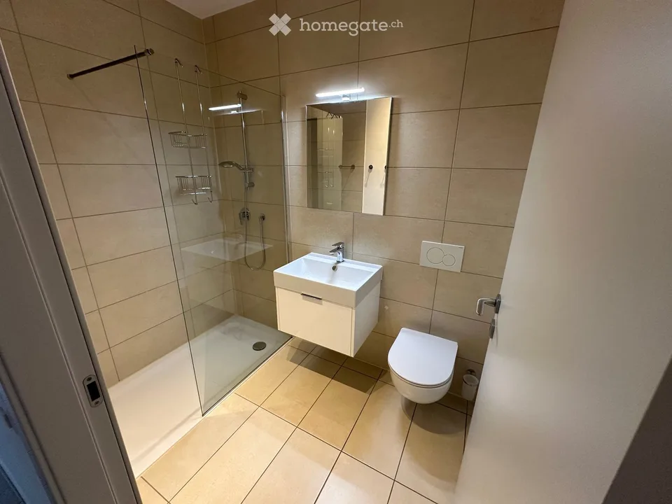 Cozy 2.5-room apartment with terrace in Contone