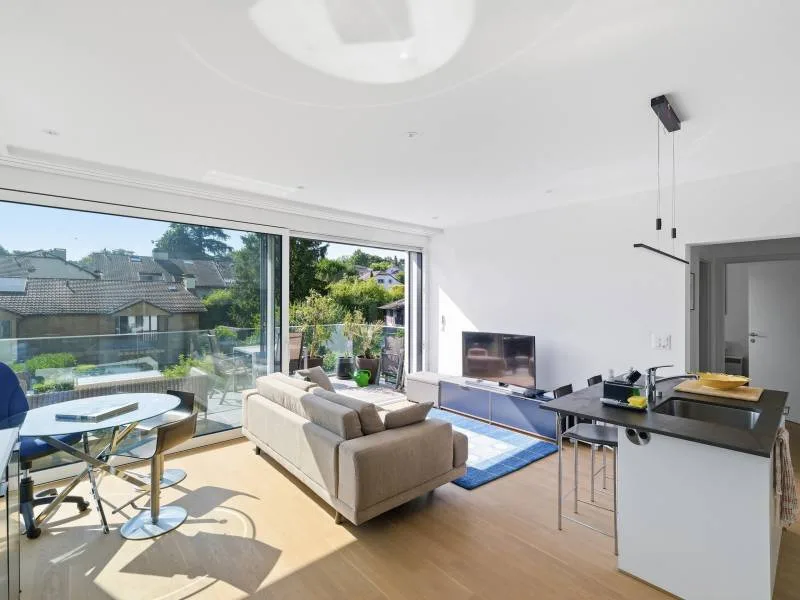 Angenehmes Appartement - Le Grand-Saconnex