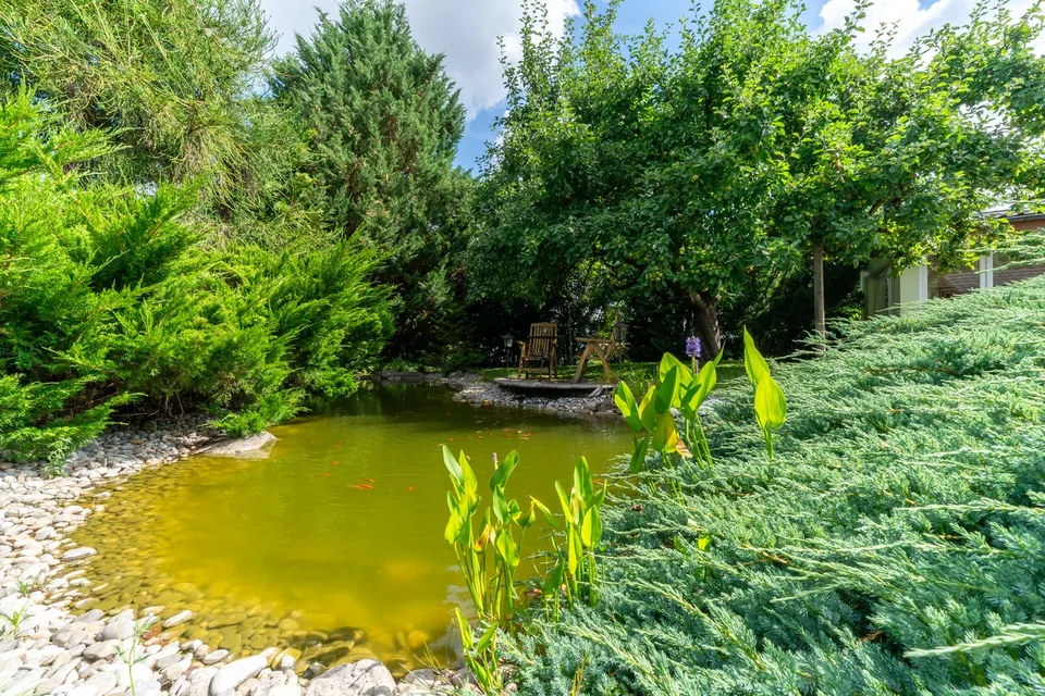Charmantes Einfamilienhaus mit Garten und Wellness-Oase – Foto 12 von 14
