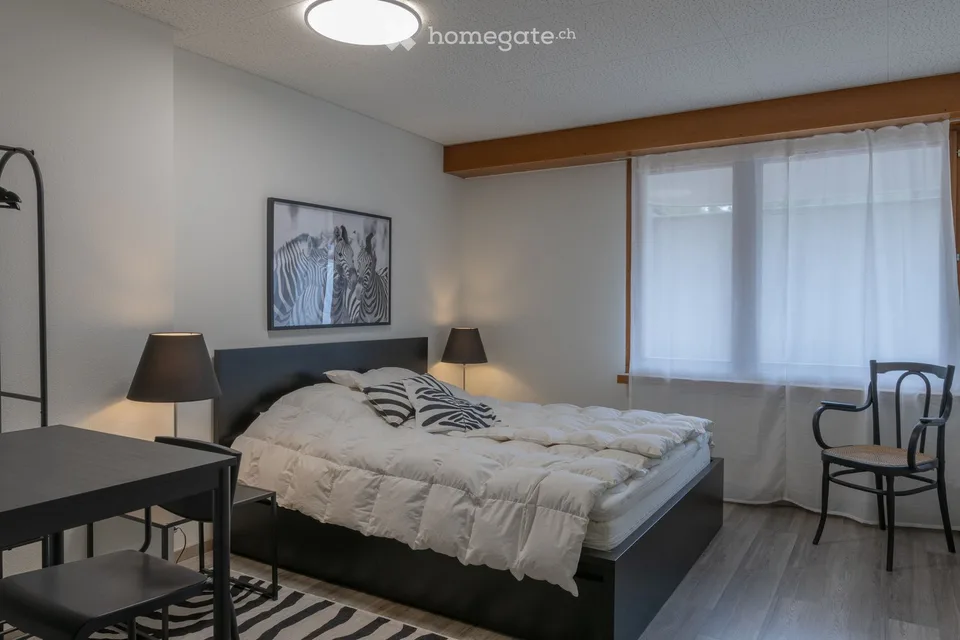 Helle 3 Zimmer-Wohnung am Winkelriedplatz in Basel (DE/ENG) – Foto 12 von 12