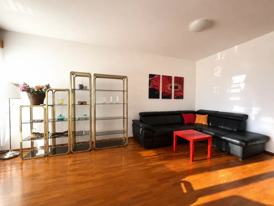 Stupendo 3,5 locali ammobiliato con vista lago