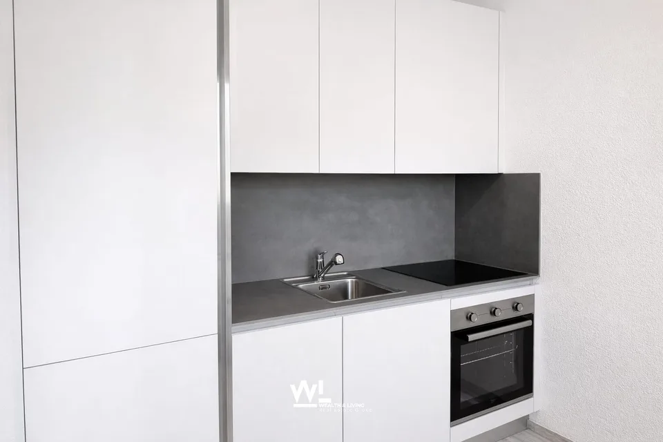 Appartement 2.5 pièces, fraîchement rénové, situé au centre de Losone
