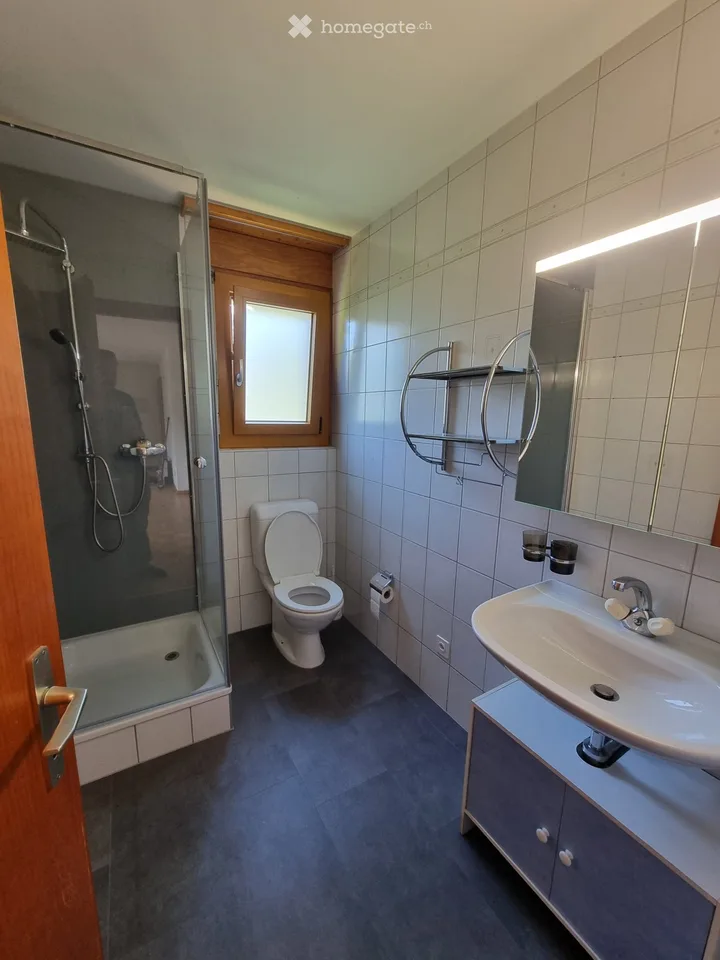 Appartamento di due e mezzo locali disponibile immediatamente
