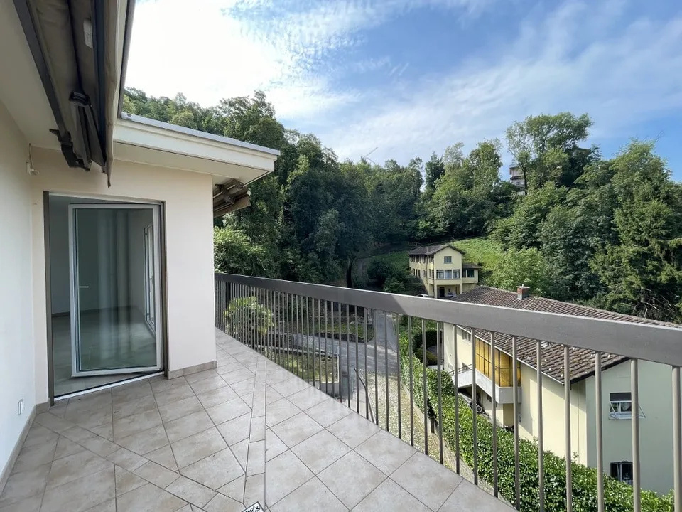 Wohnung 3.5 Zimmer mit großer Terrasse und freier Sicht
