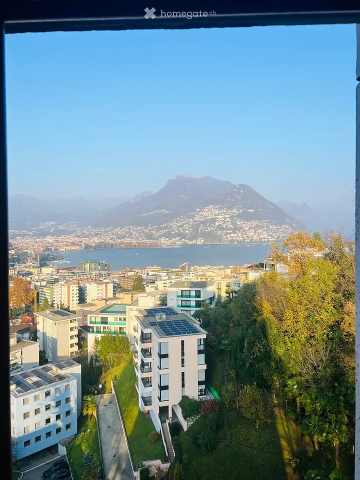 Appartamento 3,5 locali ammobiliato