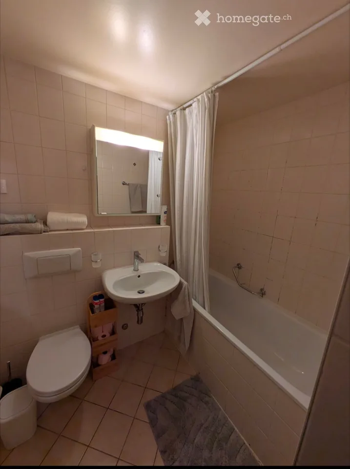 Studio Meyrin 1.5 rooms
