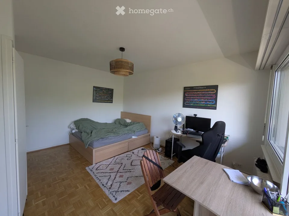 Studio Meyrin 1.5 rooms