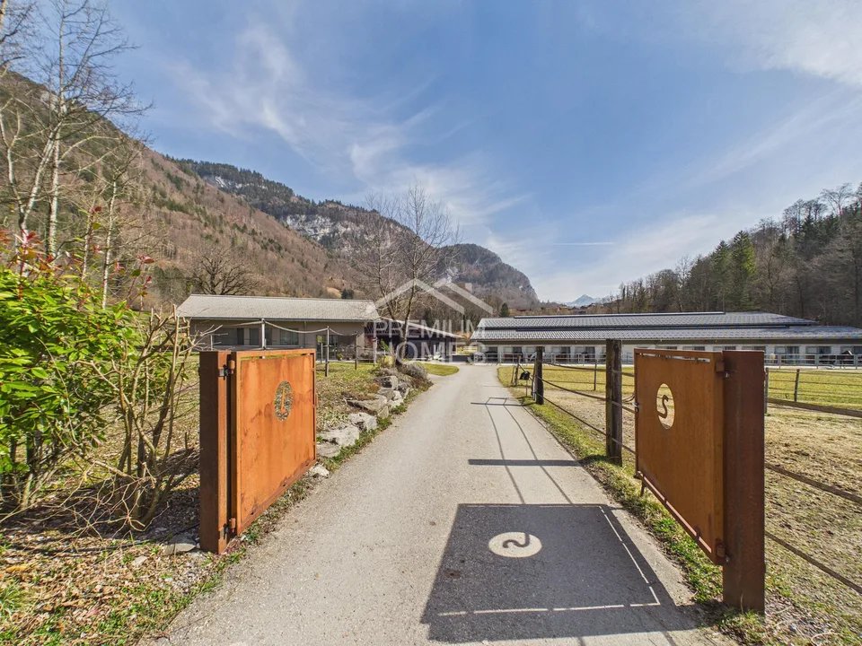 La tua opera di una vita tra sala di equitazione, natura e casa! – foto 9 di 24